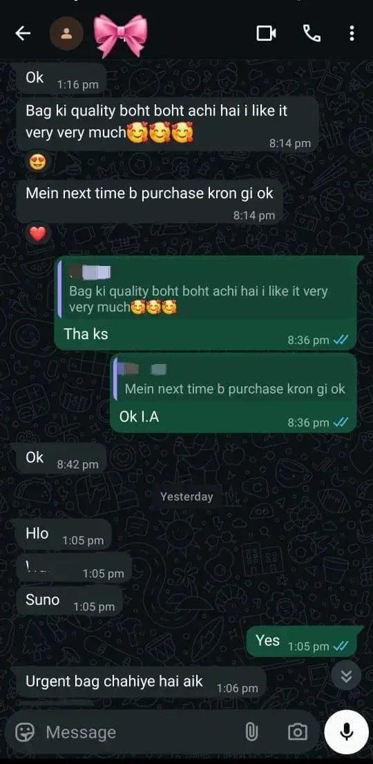 ⭐ Customer Review - Verified Purchase - bagwik